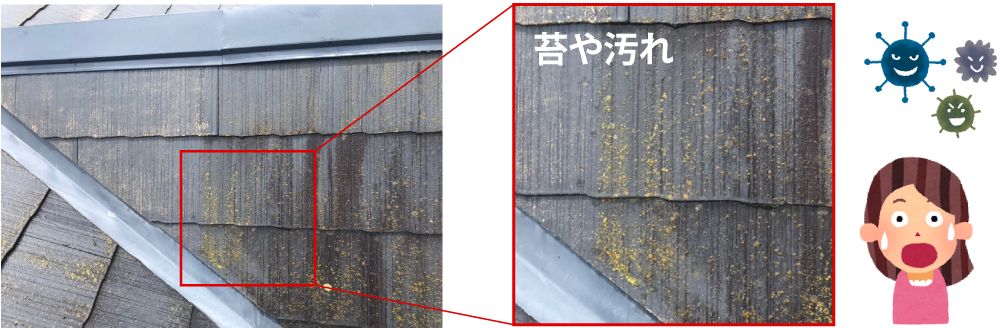 バイオ高圧洗浄前の屋根（苔や汚れ）