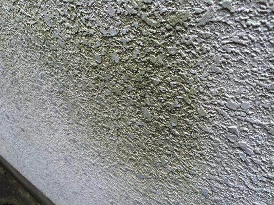 コケが発生した外壁